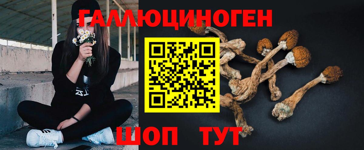 Галлюциногенные грибы мицелий  Псилоцибиновые грибы Magic Shrooms  Вход с VPN  Ржев 